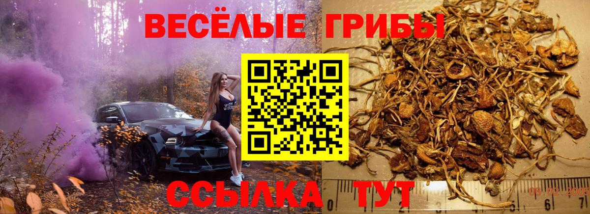 Псилоцибиновые грибы Magic Shrooms  Вход с VPN  Псилоцибиновые грибы Psilocybe  Екатеринбург 
